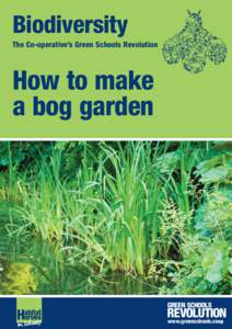 Biodiversity The Co-operative’s Green Schools Revolution How to make a bog garden