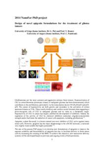 2014 NanoFar PhD project Design of novel apigenin formulations for the treatment of glioma tumors University of Liège (home institute, Dr G. Piel and Prof. V. Bours) University of Angers (home institute, Prof. C. Passir