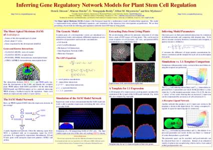 Inferring Gene Regulatory Network Models for Plant Stem Cell Regulation Henrik J¨onsson1, Marcus Heisler2, G. Venugopala Reddy2, Elliot M. Meyerowitz2 and Eric Mjolsness4 1Complex Systems Division, Department of Theoret
