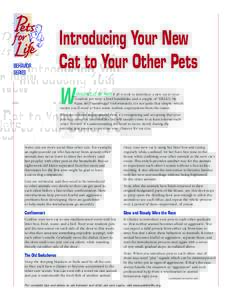 BEHAVIOR SERIES Introducing Your New Cat to Your Other Pets