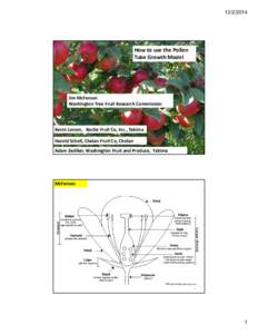 HANDOUT-How to Use the Pollen Tube Growth Model