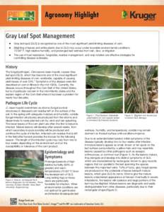 Gray Leaf Spot Management  Gray leaf spot (GLS) is recognized as one of the most significant yield-limiting diseases of corn.  Blighting of leaves and entire plants due to GLS may occur under favorable enviro