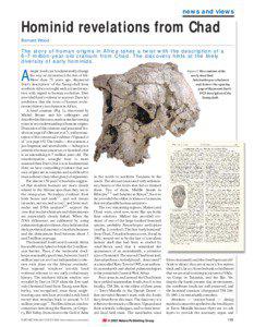 news and views  Hominid revelations from Chad