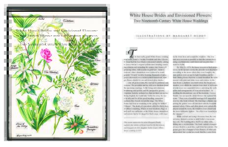 White House Brides and Envisioned Flowers: Two Nineteenth-Century White House Weddings T  ILLUSTRATIONS