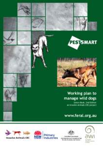 Feral dogs / Australian Aboriginal culture / Canines / Dingo / Feral / Dog / Livestock / Interbreeding of dingoes with other domestic dogs / Fauna of Australia / Mammals of Australia / Zoology