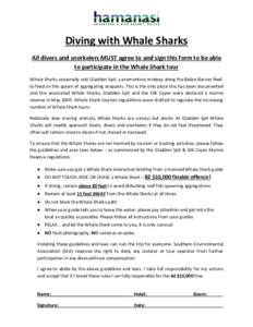 Diving with Whale Sharks All divers and snorkelers MUST agree to and sign this form to be able to participate in the Whale Shark tour Whale Sharks seasonally visit Gladden Spit, a promontory midway along the Belize Barri