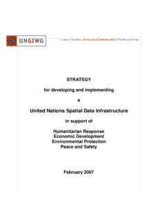Microsoft Word - UNSDI Strategy Implementation Paper.doc