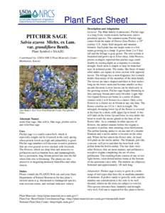 Plant Fact Sheet PITCHER SAGE Salvia azurea Michx. ex Lam. var. grandiflora Benth. Plant Symbol = SAAZG Contributed by: USDA NRCS Plant Materials Center