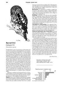 588  Strigidae: typical owls