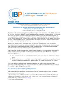 Budget Brief Year 02. No[removed]THE OPINIONS EXPRESSED IN THIS BRIEF ARE THOSE OF THE AUTHOR AND DO NOT NECESSARILY REFLECT THOSE OF THE IBP