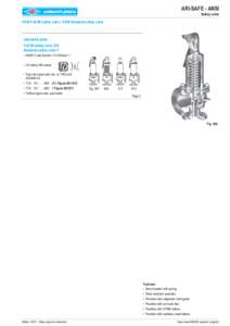 ARI-SAFE - ANSI Safety valve ANSI-Full lift safety valve / ANSI-Standard safety valve  ARI-SAFE-ANSI