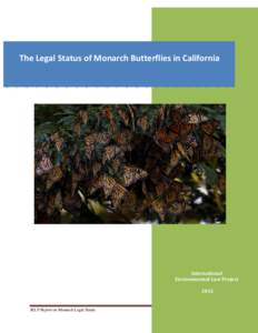 The Legal Status of Monarch Butterflies in California     International  Environmental Law Project   