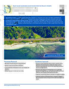 PUGET SOUND NEARSHORE ECOSYSTEM RESTORATION PROJECT (PSNERP) POTENTIAL RESTORATION AND PROTECTION PROJECTS Sequalitchew Creek Culvert  RESTORATION AREA: