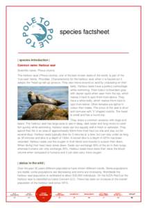 species factsheet  | species introduction | Common name: Harbour seal Scientific name: Phoca vitulina The harbour seal (Phoca vitulina), one of the best known seals of the world, is part of the