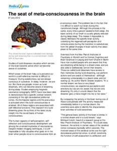 The seat of meta-consciousness in the brain