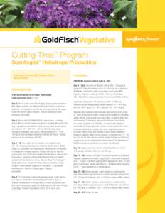 Cutting Time™ Program  Scentropia™ Heliotrope Production Callused Cutting (CC) Direct Stick – Quart Finish
