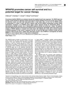 WRAP53 promotes cancer cell survival and is a potential target for cancer therapy