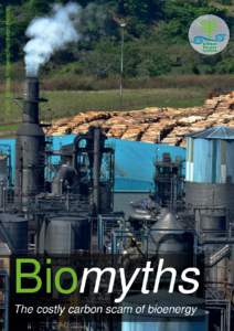 1  Biomyths: the costly carbon scam of bioenergy ∙ December 2015 Executive Summary The term ‘wood­based bioenergy’