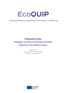 Microsoft Word - EcoQUIP Workshop Provocation Paperdocx