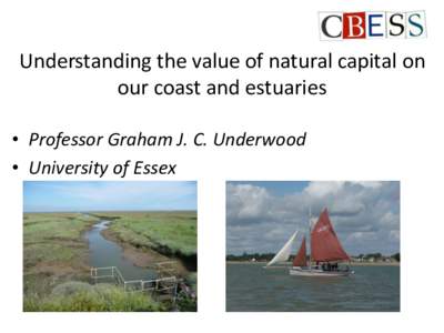 Understanding the value of natural capital on our coast and estuaries • Professor Graham J. C. Underwood • University of Essex  Coastal features: result of geomorphology