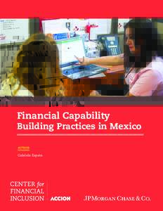 Financial Capability  Building Practices in Mexico AUTHOR  Gabriela Zapata