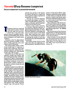 Nasonia  T he genome of Nasonia, a parasitoid wasp used for genetic research