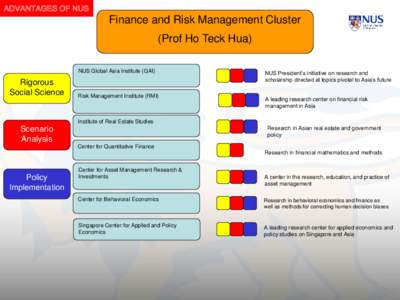 ADVANTAGES OF NUS  Finance and Risk Management Cluster (Prof Ho Teck Hua) NUS Global Asia Institute (GAI)