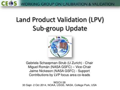 Land Product Validation (LPV) Sub-group Update Gabriela Schaepman-Strub (U Zurich) - Chair Miguel Román (NASA GSFC) – Vice-Chair Jaime Nickeson (NASA GSFC) - Support