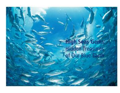 High Seas Gems: Hidden Treasures of Our Blue Earth Acknowledgements We are deeply grateful to the scientists and members of non-governmental organizations who contributed their ideas and improvements to this effort.