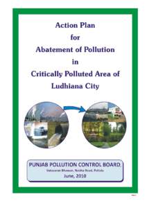 Final-1  Foreword 29th June 2010 The industrial cluster of Ludhiana has been identified as one of the critically polluted clusters by the Ministry of Environment & Forests vide office
