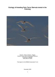 Ecology of breeding Fairy Terns Sternula nereis in the Coorong David C. Paton & Daniel J. Rogers School of Earth and Environmental Sciences University of Adelaide,
