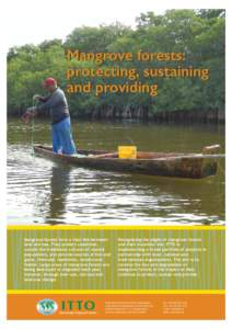 ITTO_Mangroves_GENERAL_Poster.ai