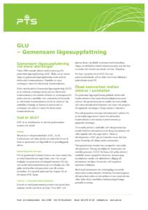 GLU – Gemensam lägesuppfattning Gemensam lägesuppfattning vid stora störningar Våren 2006 startade arbetet med en prototyp för gemensam lägesuppfattning, GLU. Målet var att kunna