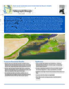 PUGET SOUND NEARSHORE ECOSYSTEM RESTORATION PROJECT (PSNERP) TENTATIVELY SELECTED PLAN Telegraph Slough  IMAGE: Washington State Department of Ecology (2006)