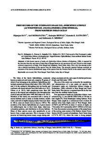 ACTA ICHTHYOLOGICA ET PISCATORIA): 89–93  DOI: AIP2015FIRST RECORD OF THE EVERMANN’S SNAKE EEL, OPHICHTHUS LITHINUS (ACTINOPTERYGII: ANGUILLIFORMES: OPHICHTHIDAE),