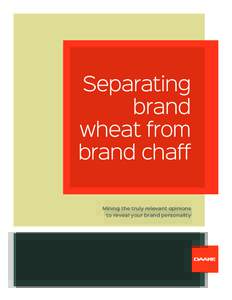 Separating brand wheat from brand chaff Mining the truly relevant opinions to reveal your brand personality