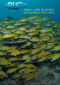 Annual Report[removed]  2. RLSF Board 1. Reef Life Survey Foundation (RLSF) RLSF was established with the vision to improve biodiversity conservation and the sustainable management of marine resources. We do this throu