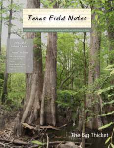 Texas Field Notes  Volume 7, Issue 3 7:30pm - calls of Hyla cinerea heard from various parts of the marsh, particularly from a an armadillo emerged from the thicket and began to dig. We hiked for an additional 2 miles