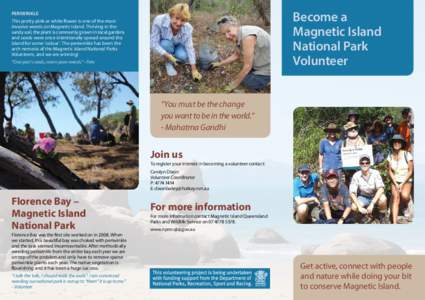 Become a Magnetic Island National Park Volunteer  PERIWINKLE