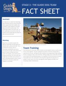 Guide Dogs Fact Sheet Template.docx