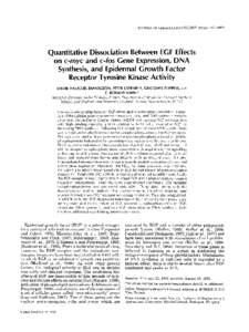 JOURNAL OF CELLULAR PHYSIOLOGY 150:Quantitative Dissociation Between EGF Effects on c-myc and c-fosGene Expression, DNA Synthesis, and Epidermal Growth Factor Receptor Tyrosine Kinase Activity