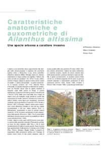 ECOLOGIA  Caratteristiche ana tomiche e auxometriche di Ailanthus altissima