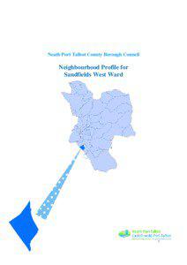 Neighbourhood Profile for Sandfields West