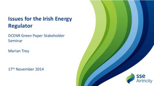 Issues for the Irish Energy Regulator DCENR Green Paper Stakeholder Seminar Marian Troy