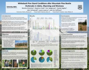 Whitebark Pine Stand Conditions after Mountain Pine Beetle Outbreaks in Idaho, Wyoming and Montana Kendra 1University  1