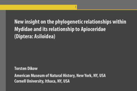   New insight on the phylogenetic relationships within