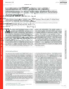 Published October 31, 2005  JCB: ARTICLE Localization of MMR proteins on meiotic chromosomes in mice indicates distinct functions