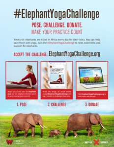 #ElephantYogaChallenge Pose. Challenge. Donate. Make Your Practice Count Ninety-six elephants are killed in Africa every day for their ivory. You can help save them with yoga. Join the #ElephantYogaChallenge to raise awa