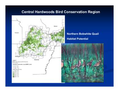 Central Hardwoods Bird Conservation Region  Northern Bobwhite Quail Habitat Potential  Q