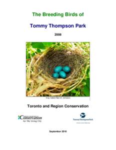 The Breeding Birds of Tommy Thompson Park 2008 Gray Catbird Nest (D. Johnston)